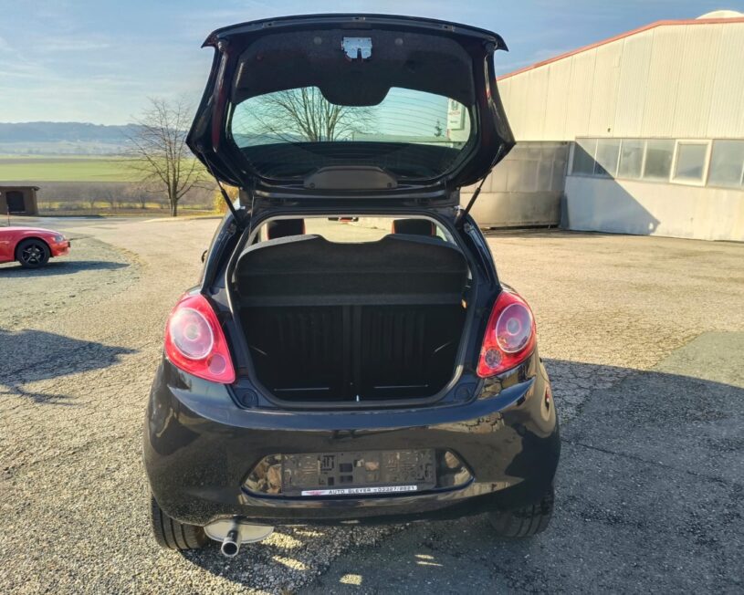 FORD KA INDIVIDUAL GRAND PRIX voll