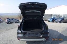 MITSUBISHI Grandis 1,3 Petrol Intense S+C+T 26 voll