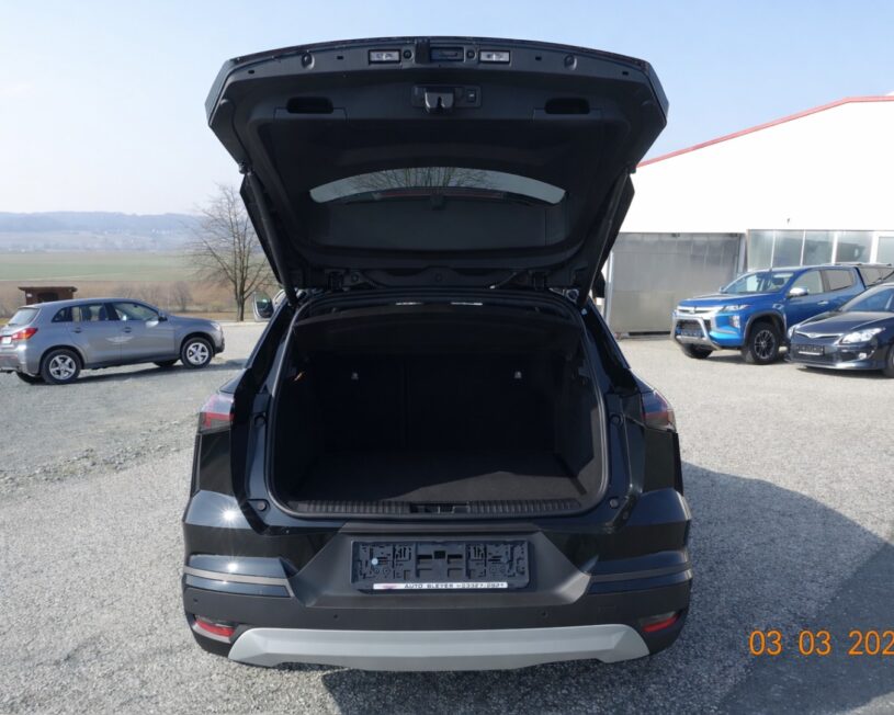 MITSUBISHI Grandis 1,3 Petrol Intense S+C+T 26 voll