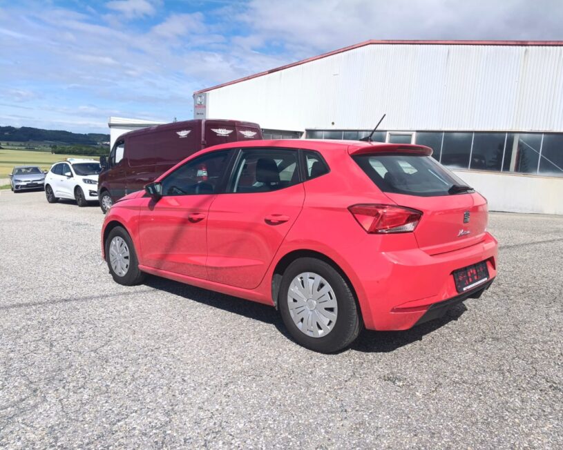 SEAT Ibiza Reference LED VIRTUAL MULTIFUNKTIONSLENKRAD voll