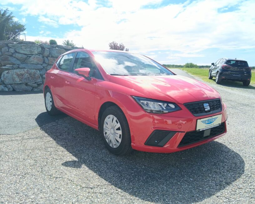 SEAT Ibiza Reference LED VIRTUAL MULTIFUNKTIONSLENKRAD voll