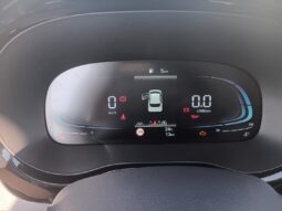 HYUNDAI i10 GO 1,0 TOP voll